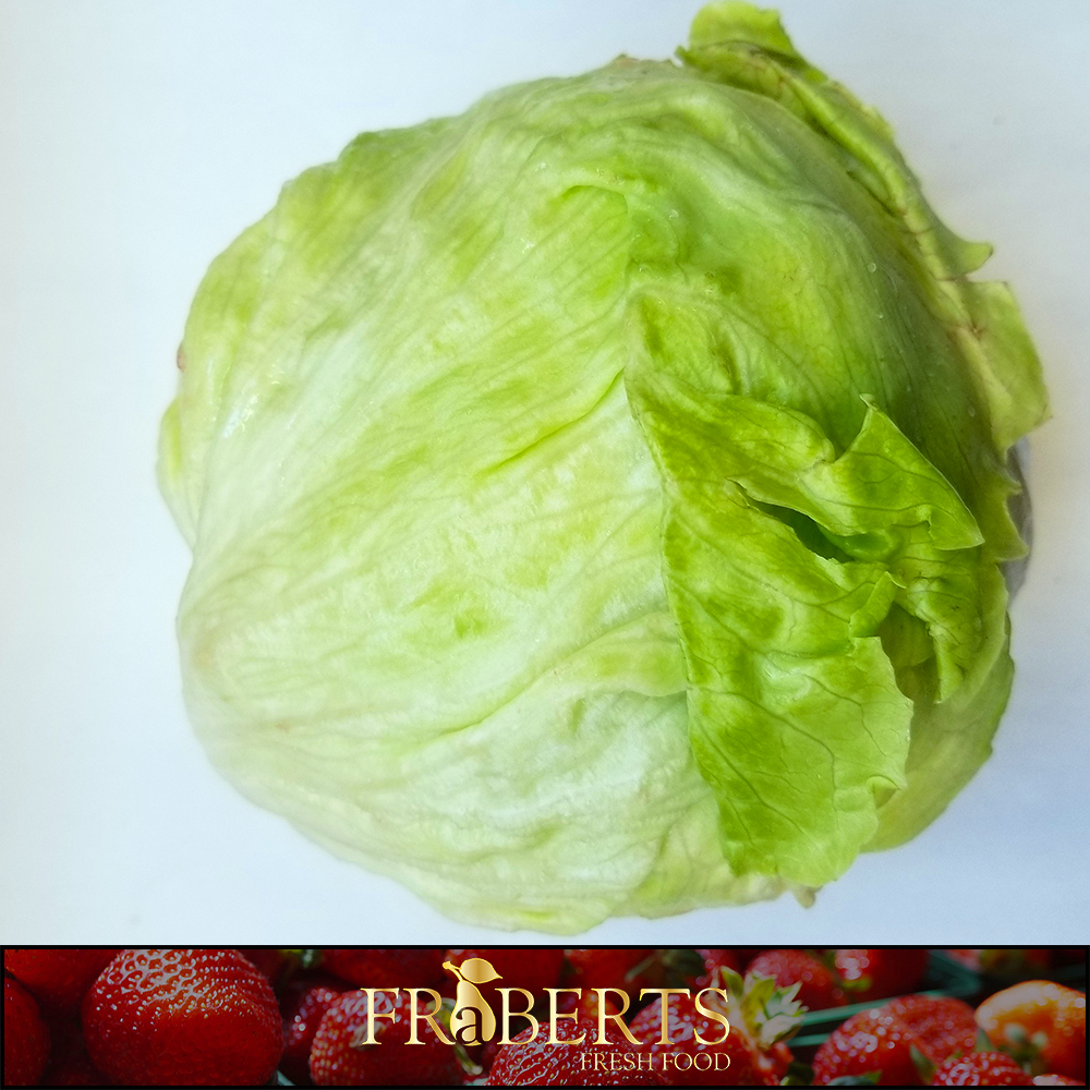 Lettuce - Head / Iceburg